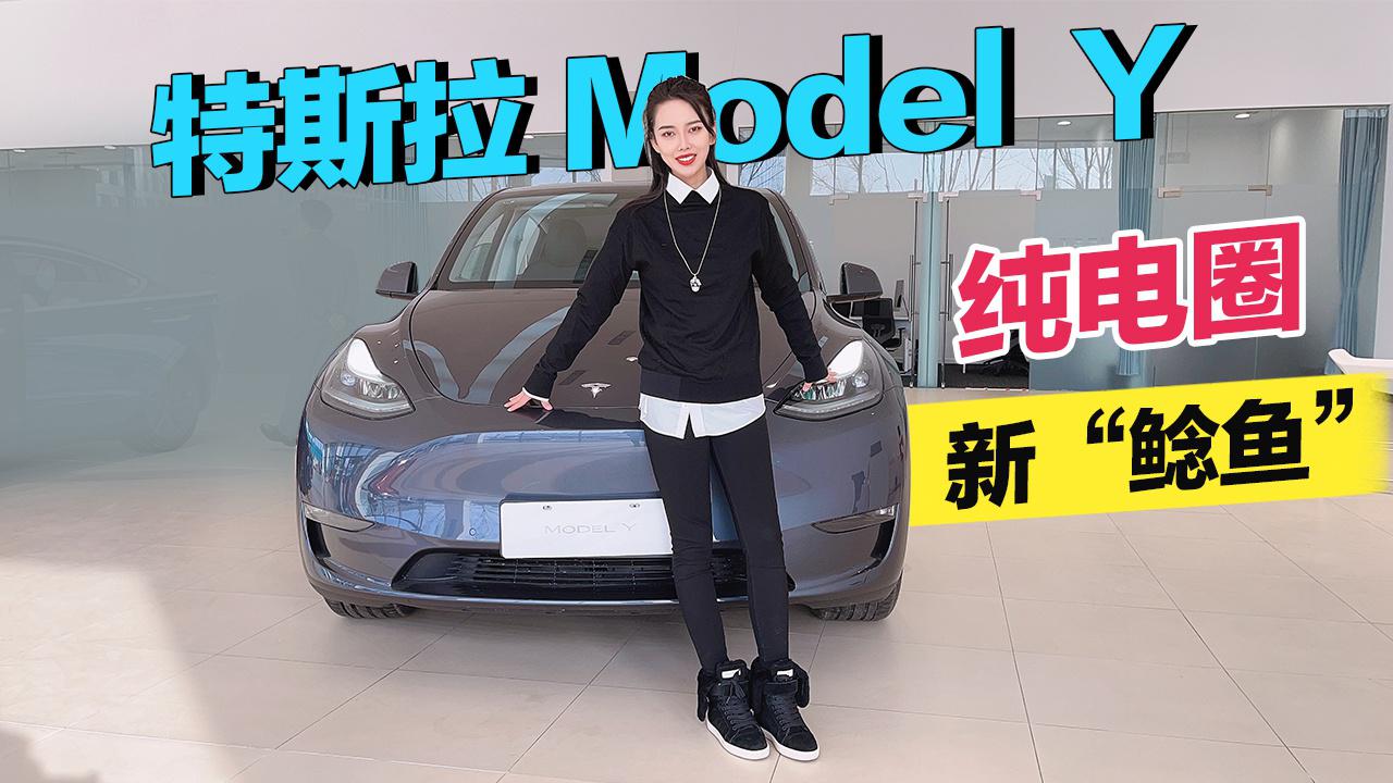 【女巫筛车】纯电圈的新“鲶鱼”——特斯拉Model Y