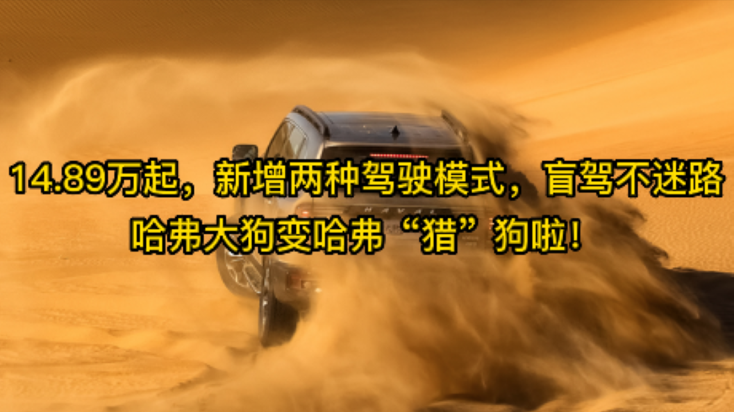 14.89万起，新增两种驾驶模式，盲驾不迷路，大狗变“猎”狗啦！
