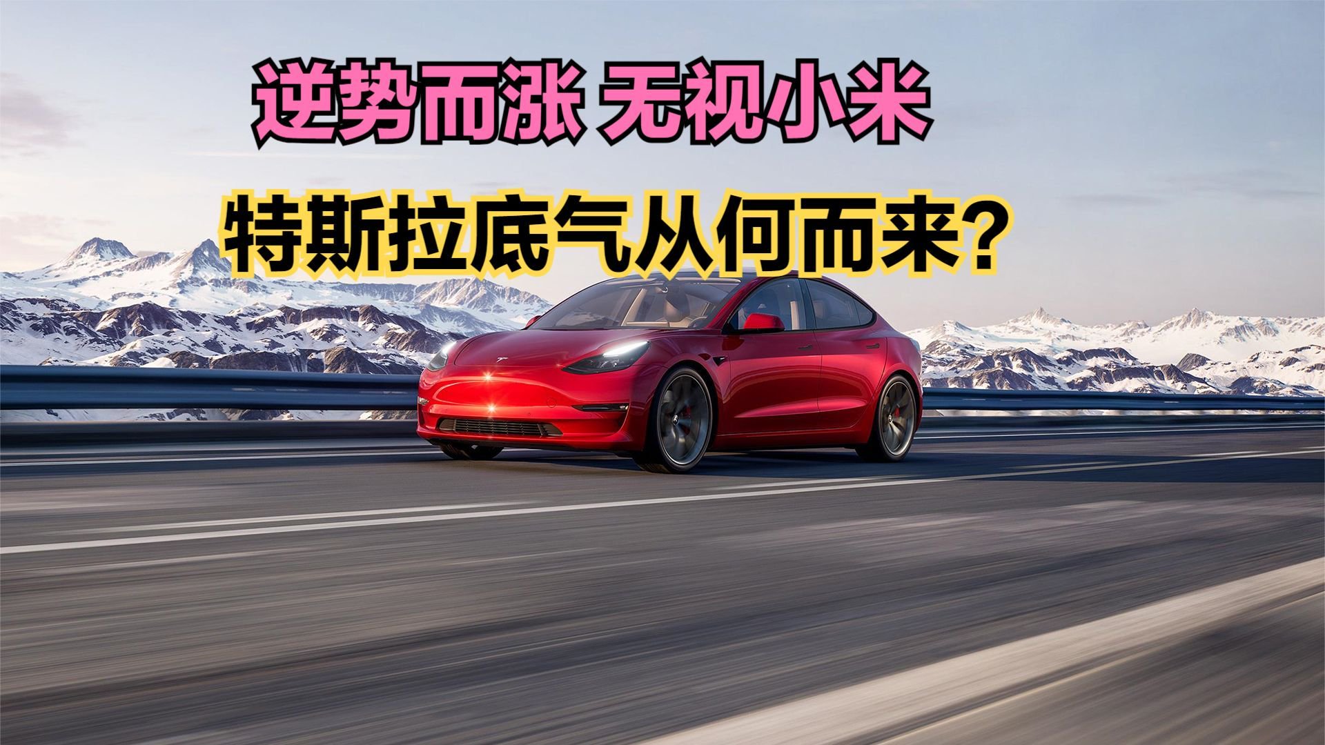 逆势而涨！特斯拉Model Y全系涨价5000元！哪里的人爱买特斯拉？