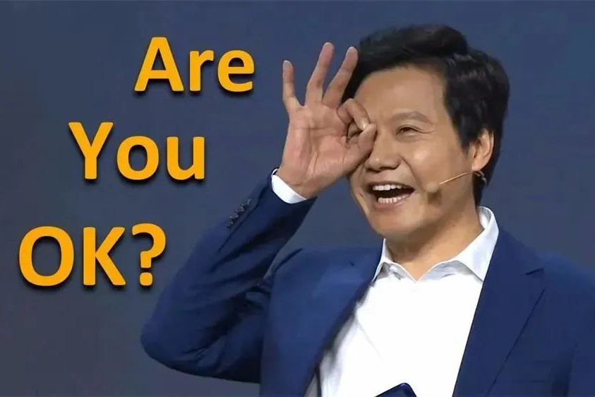 小米造车资质路线曝光：宝沃破小米立，宝沃死小米生