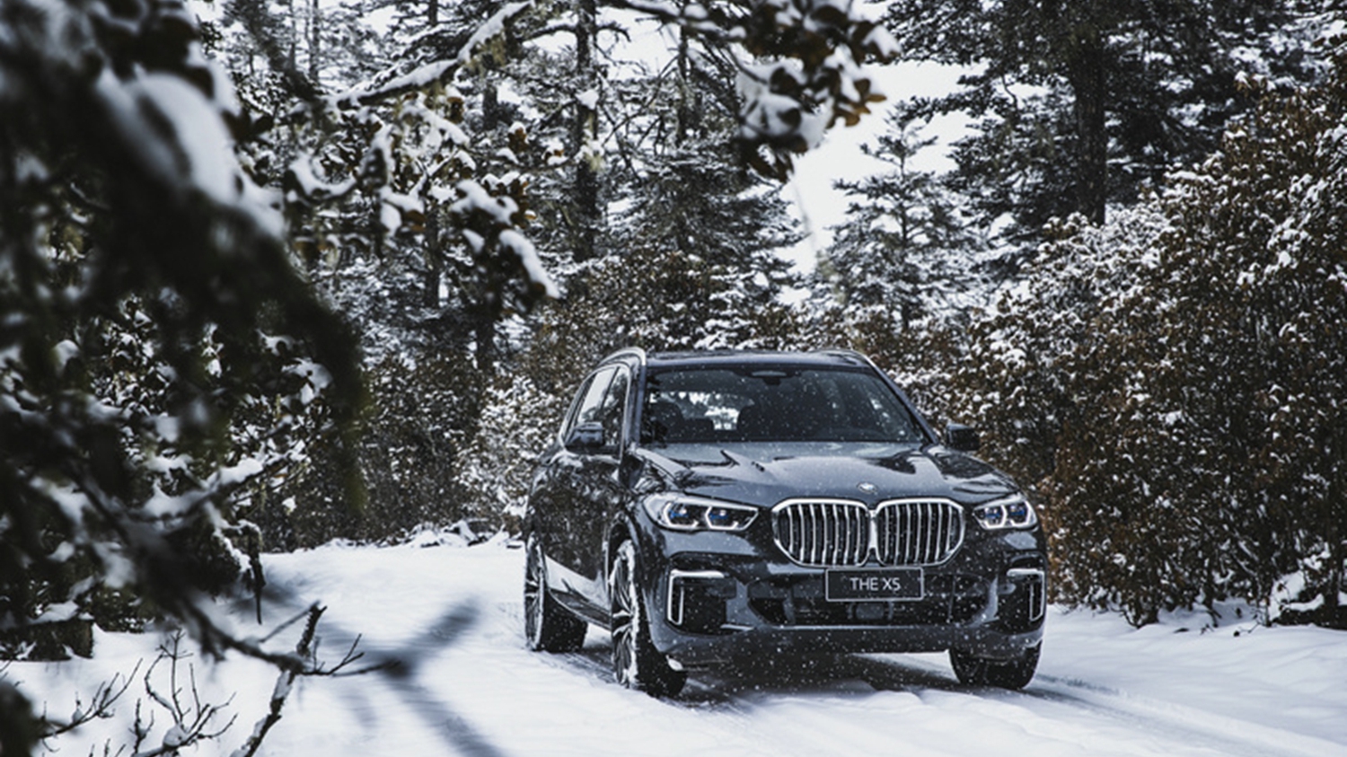 国产宝马X5官图发布，离梦又近了一步？