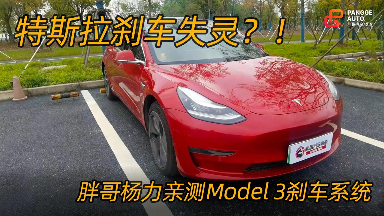 《胖哥试车》特斯拉刹车失灵？！胖哥杨力亲测Model 3刹车系统