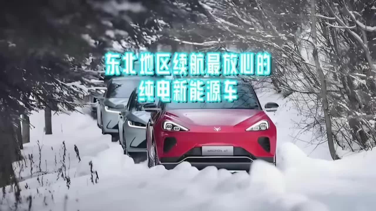 东北地区续航最放心的纯电轿车