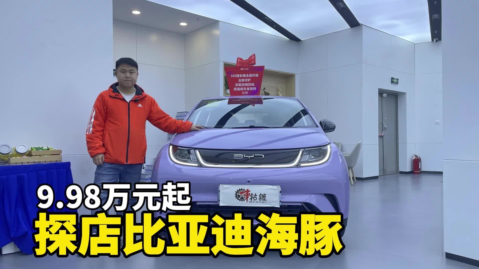 探店实拍比亚迪海豚荣耀版，9.98万起售，势要颠覆燃油轿车市场？
