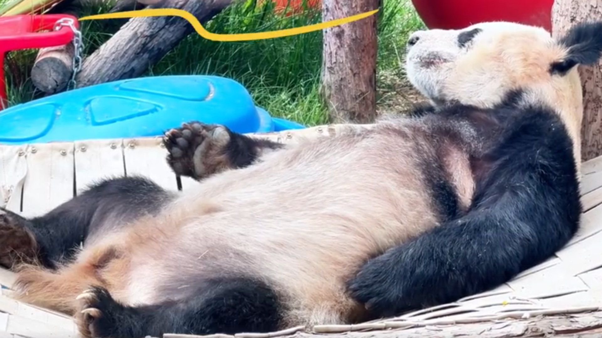 丫丫酣睡的样子太治愈