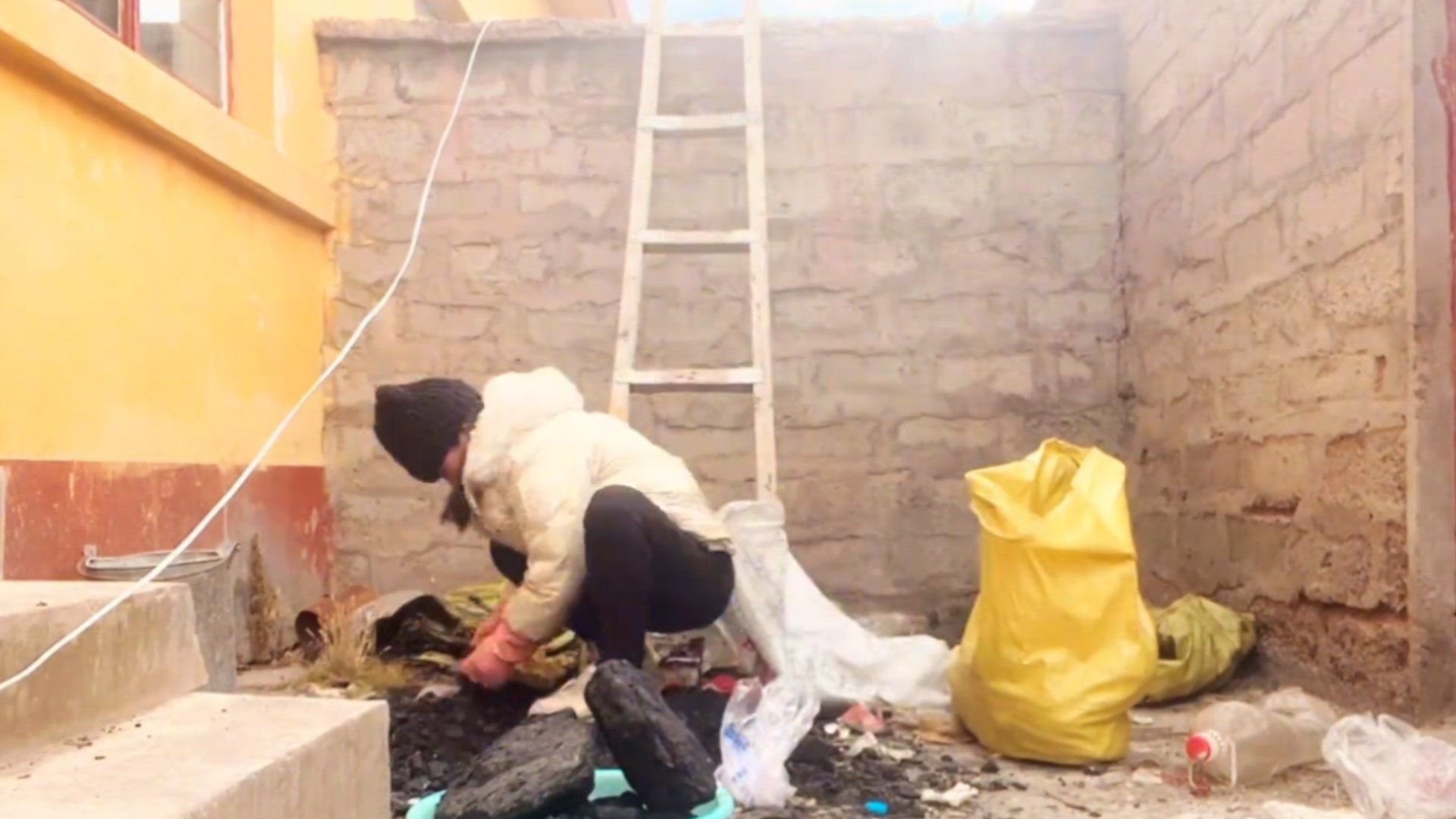 网红无人区拿救命粮喂狗