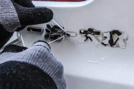 买国产豪华车丢人？为何消费者热衷于抠标？