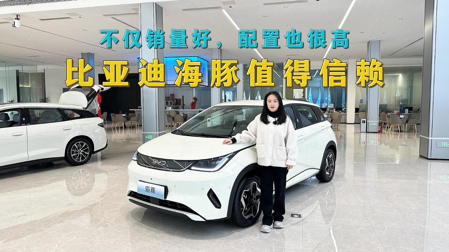 A0级纯电首选车型，不仅销量好，配置也很高，比亚迪海豚值得买