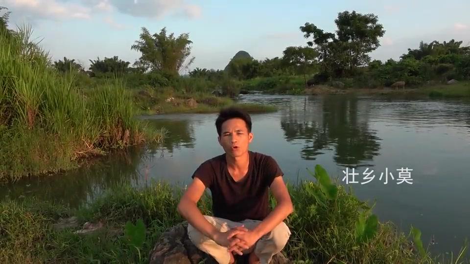 马蜂太猖狂蜇伤村民小莫越想越气将可乐灌进马蜂窝里太解气了