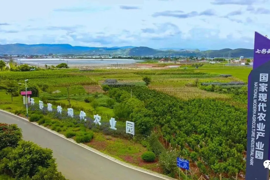 开远附近的500一次真的可以约吗