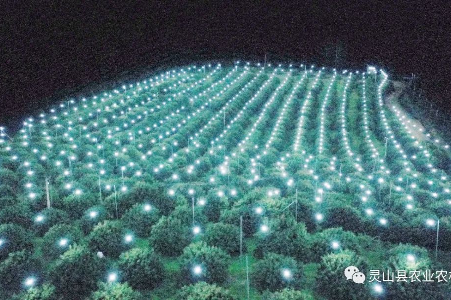 钦州品茶联系方式wx，钦州茶文化和旅游地推荐