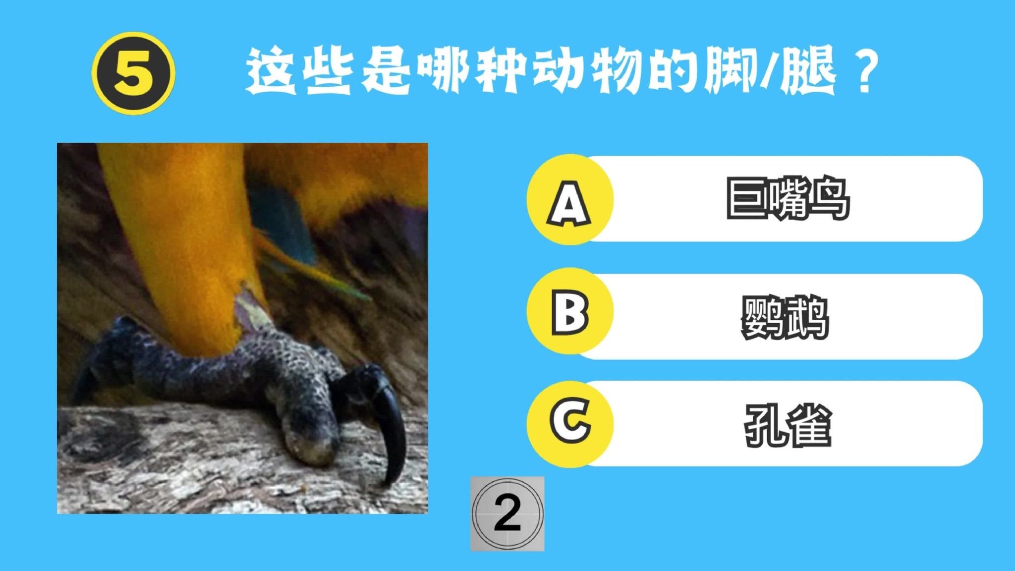 动物测验：这些是哪种动物的脚/腿？