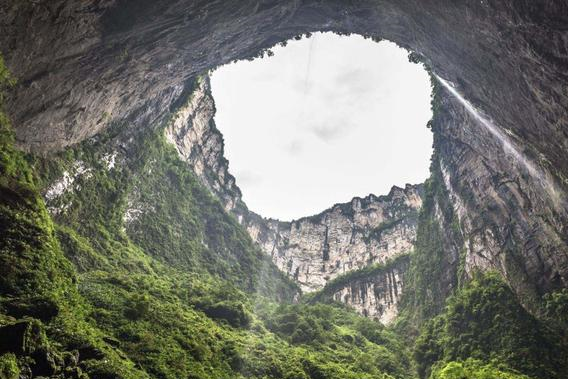 哪些专业属于“天坑专业”？