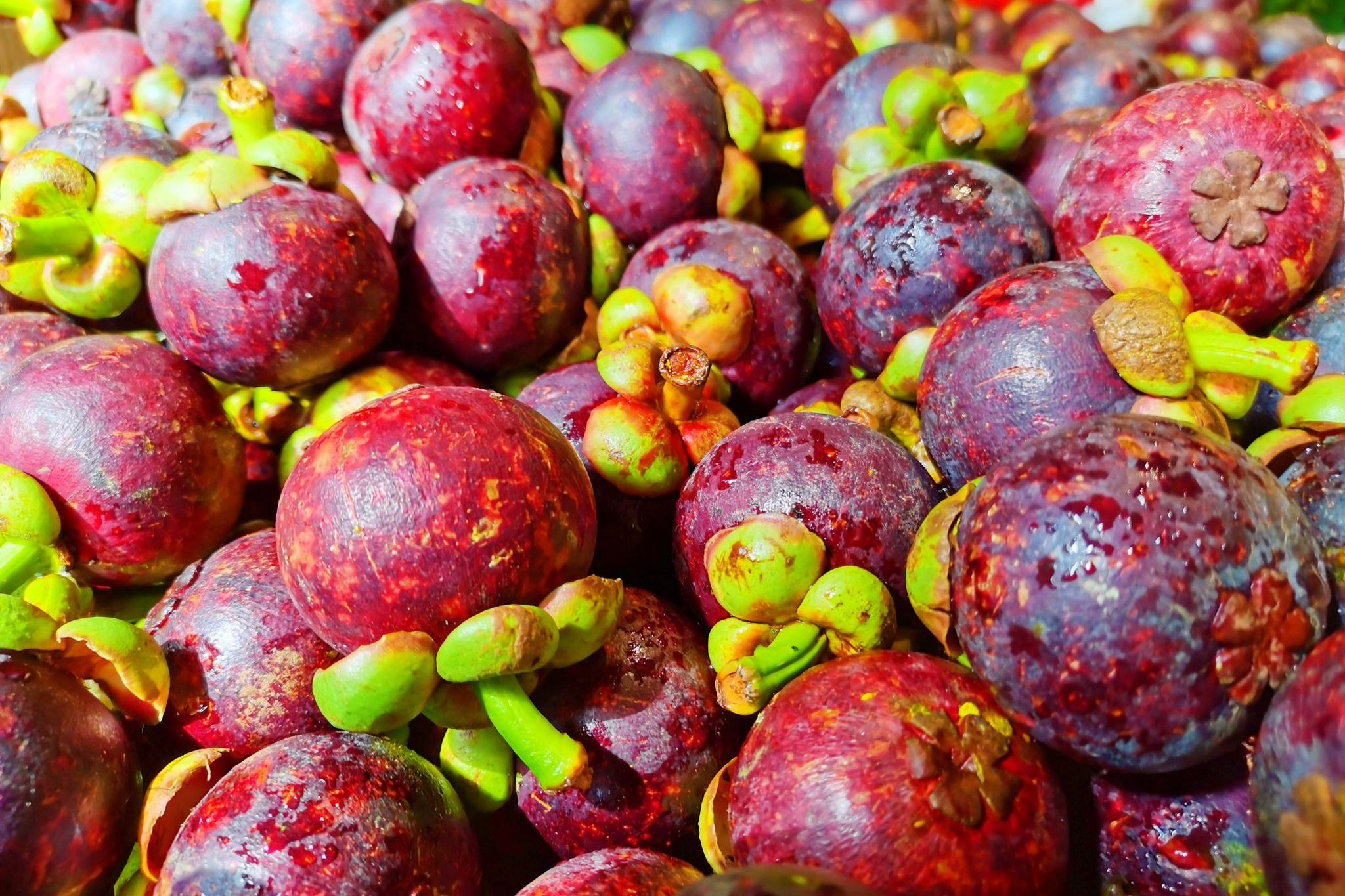 为什么台风叫山竹 vq.rdfdvx.cn