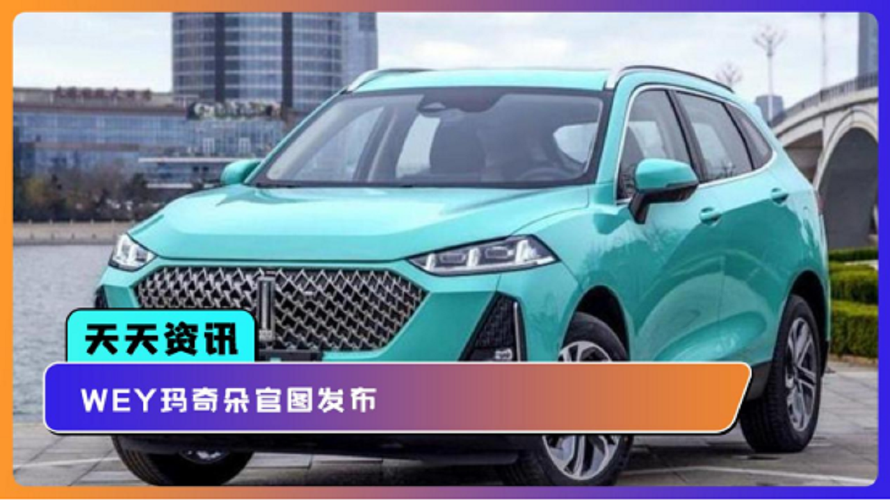 【天天资讯】WEY玛奇朵官图发布