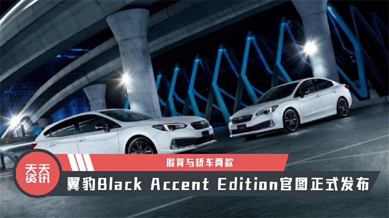 【天天资讯】翼豹Black Accent Edition官图正式发布