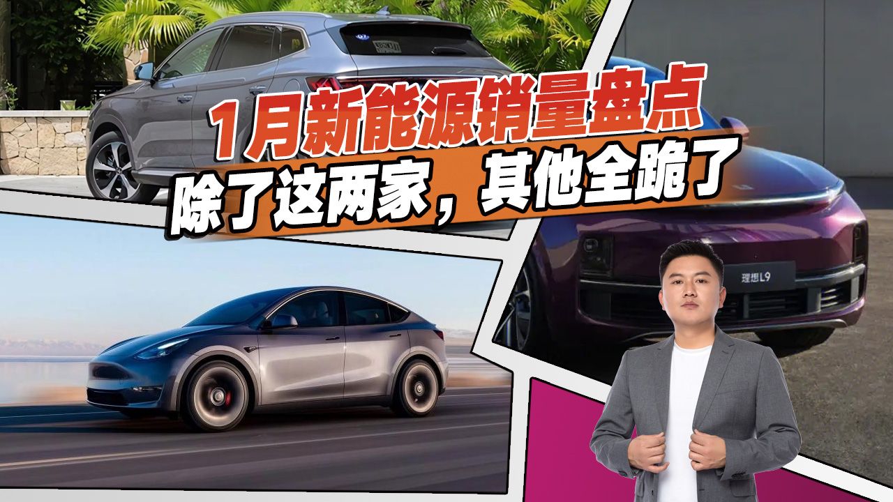 1月份新能源销量分析，新势力“全跪了”，比亚迪、特斯拉笑了