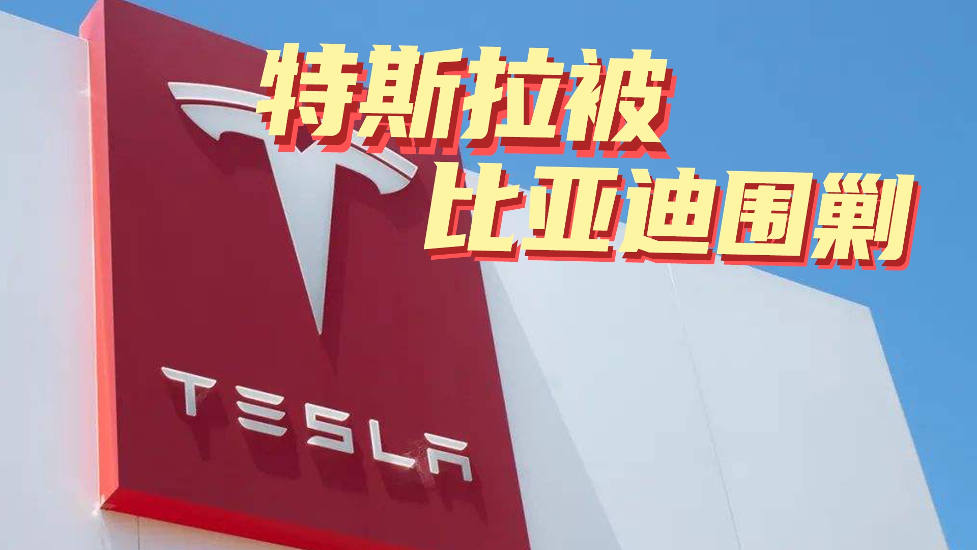 豆车一分钟：特斯拉被比亚迪围攻，新能源国产要起来了
