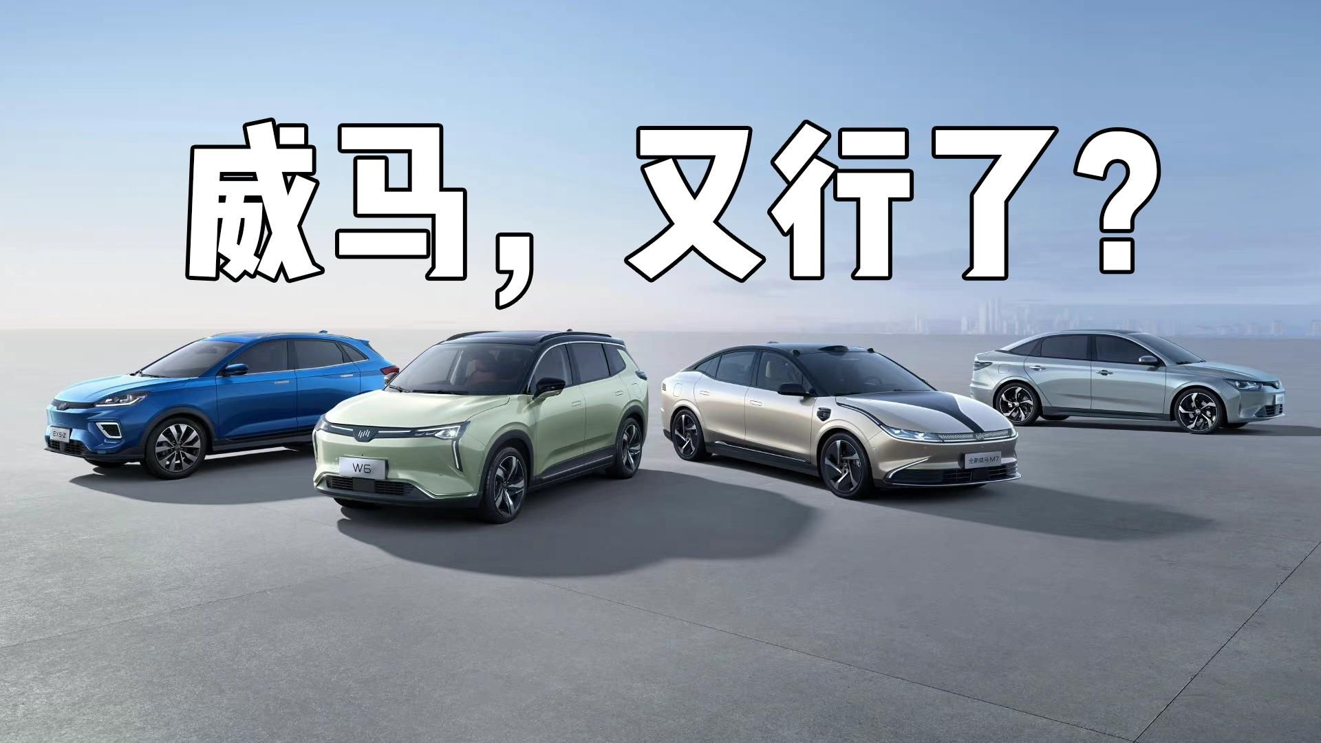 威马变危马，像牲口一样活着就能撑过新一年吗？
