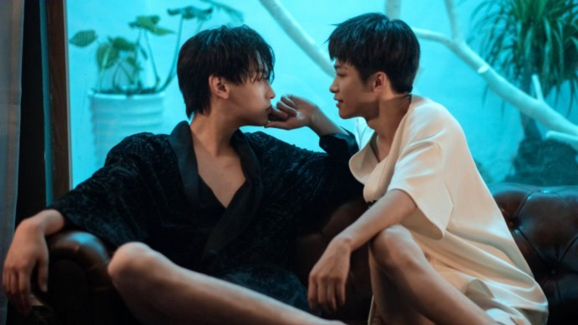 柴鸡蛋发文回应停播，称只是正常的内容调整，否认“永久停播”