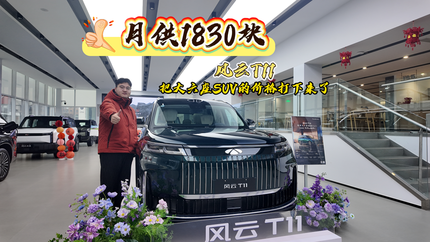 月供1830块，风云T11把大六座SUV的价格打下来了--成片