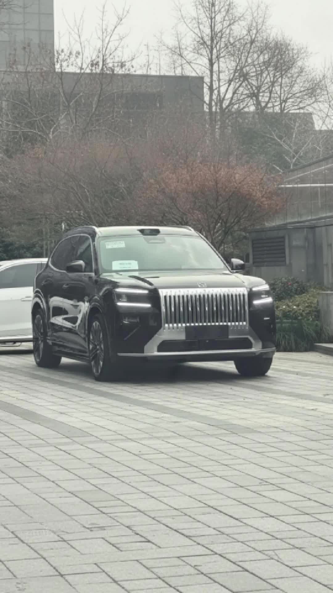 停止观望极氪8X参数太吓人70度电配2.0T一箱油能放到过期