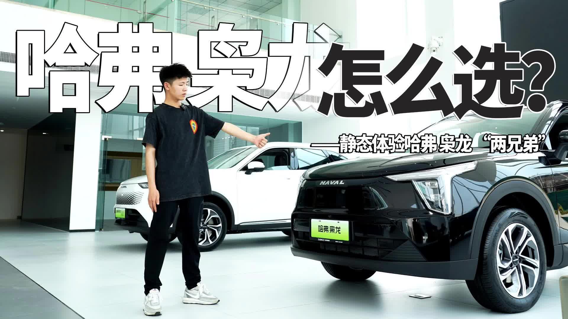 实拍哈弗枭龙系列，这“两兄弟”该如何选？