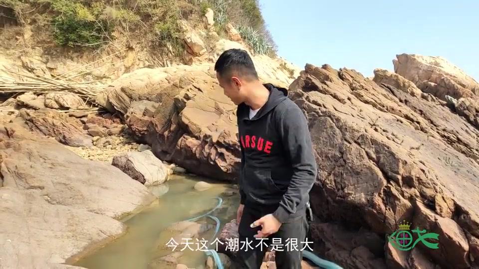 渔戈小明迷恋上了赶海抽水坑,抽干后抓鱼的感觉就像捡