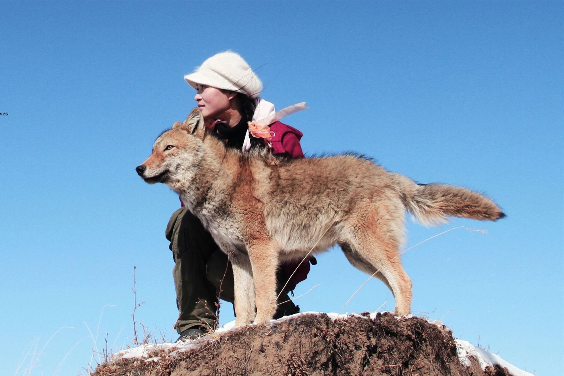 《漫长的季节》：如同剧名般，一场走不到尽头的东北秋天