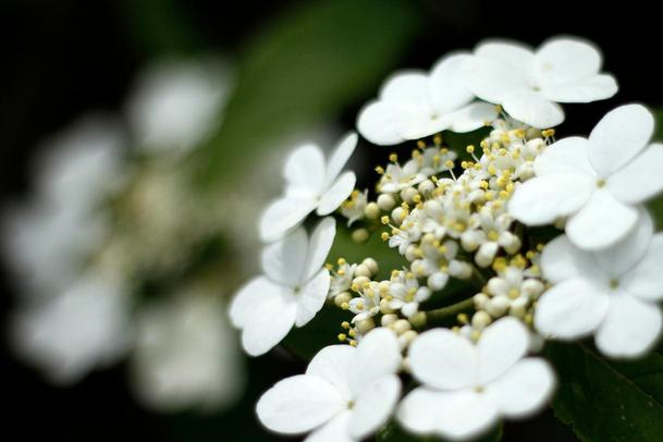 职场生存必备法则 工作后悟出的硬道理