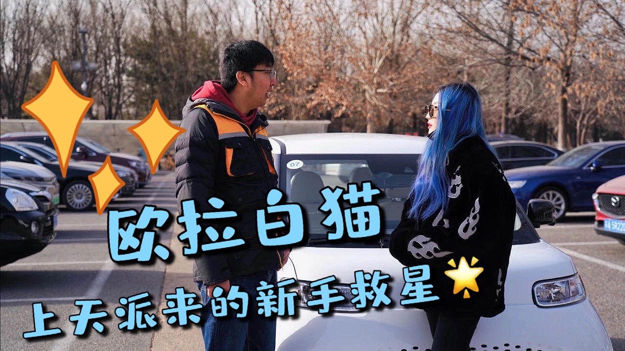 欧拉白猫，这是上天派来拯救新手女司机的