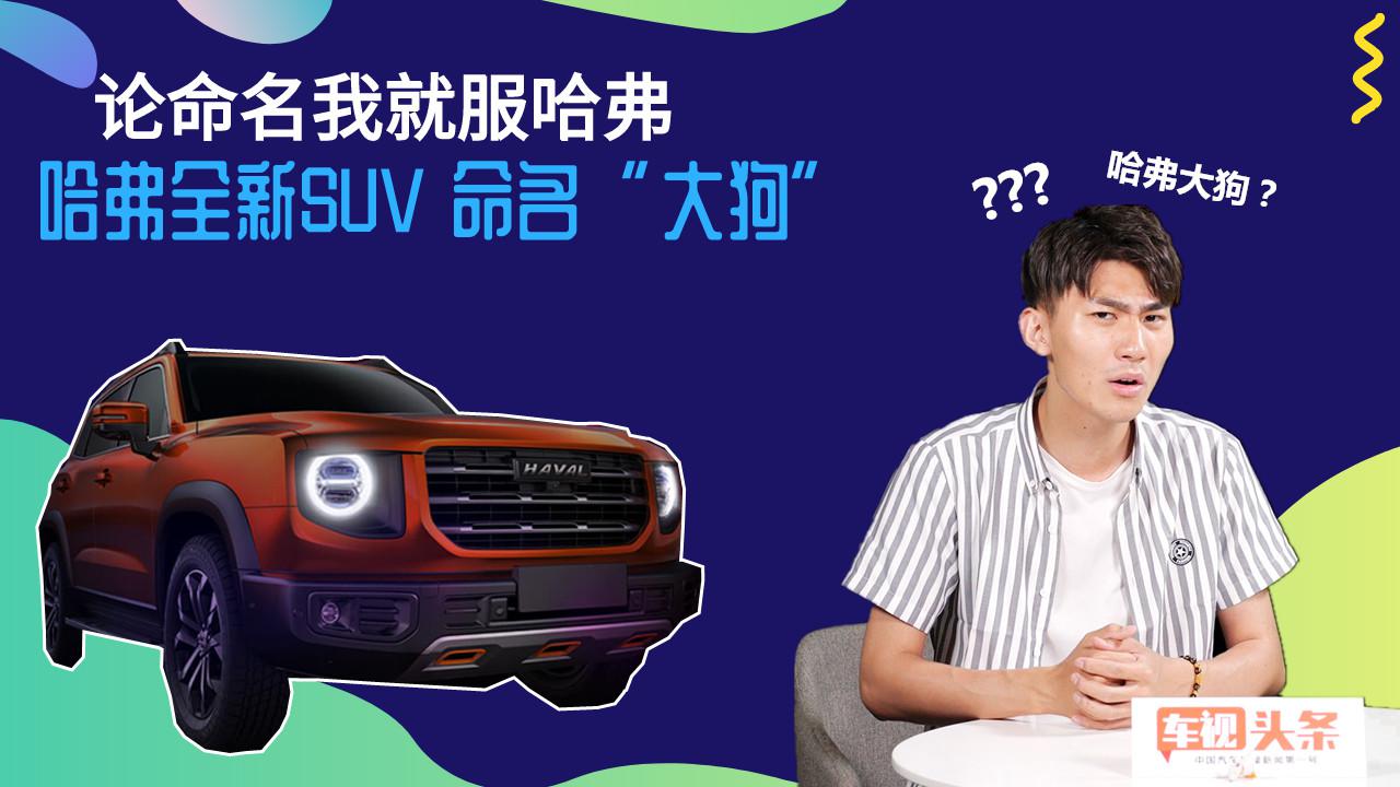 论命名我就服哈弗！哈弗官宣：全新SUV 命名“大狗”