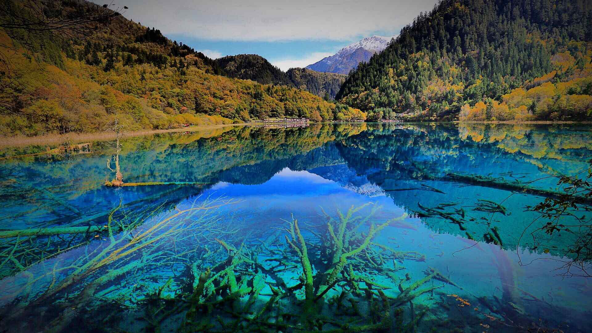 夏天旅游玩点新花样，这些避暑胜地，你值得收藏