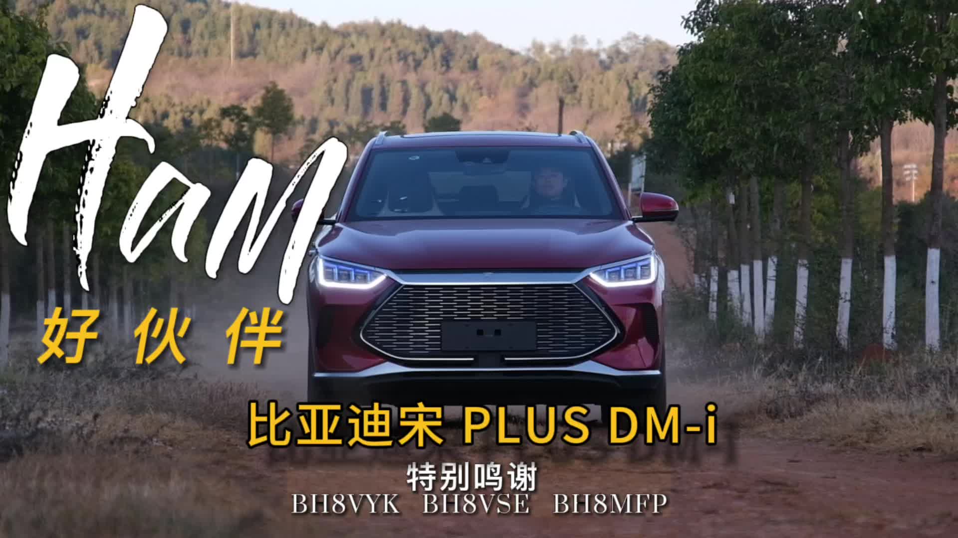 Ham的好伙伴 比亚迪宋PLUS DM-i