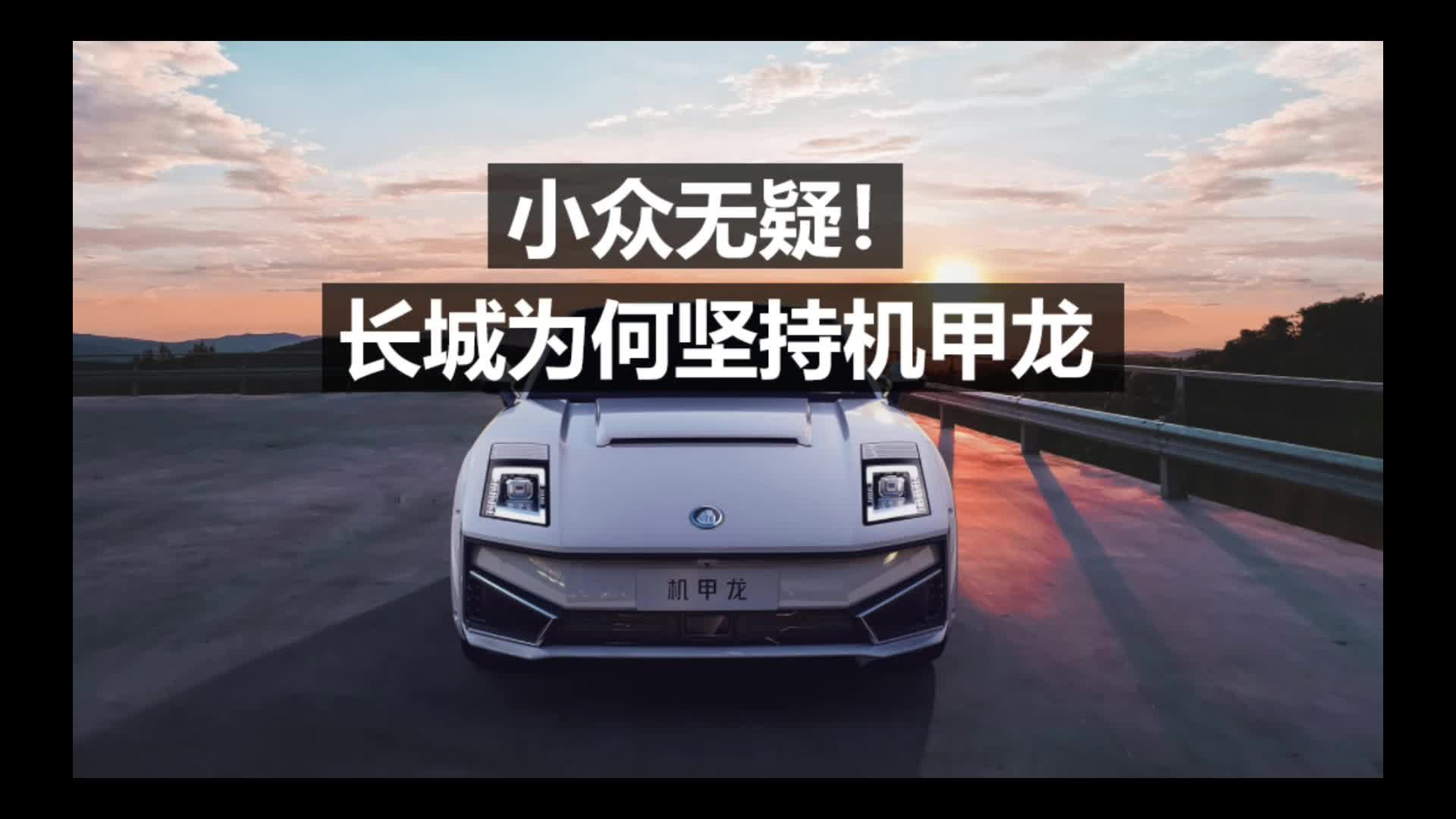 设计奇怪，注定小众！长城为何要研发机甲龙？