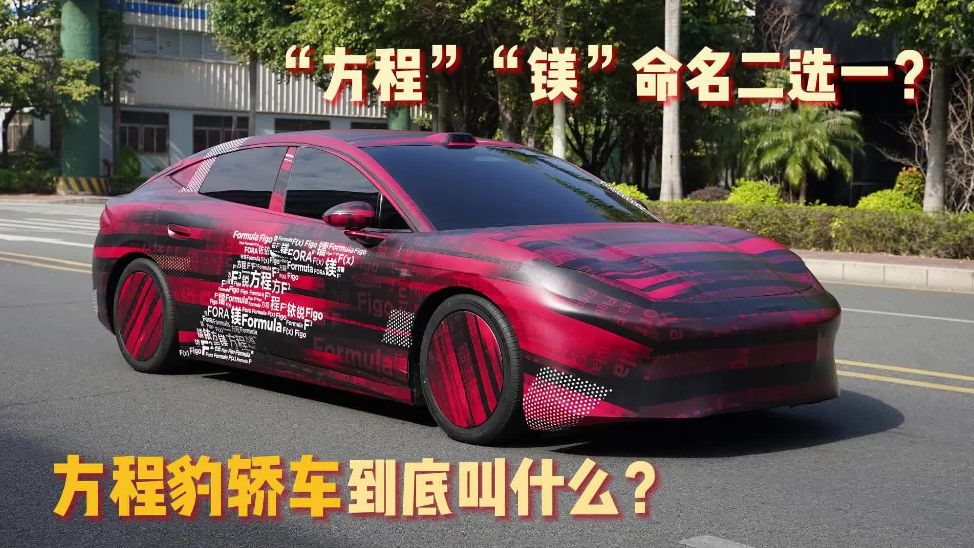 方程豹轿车到底叫什么？“方程”“镁”命名二选一？