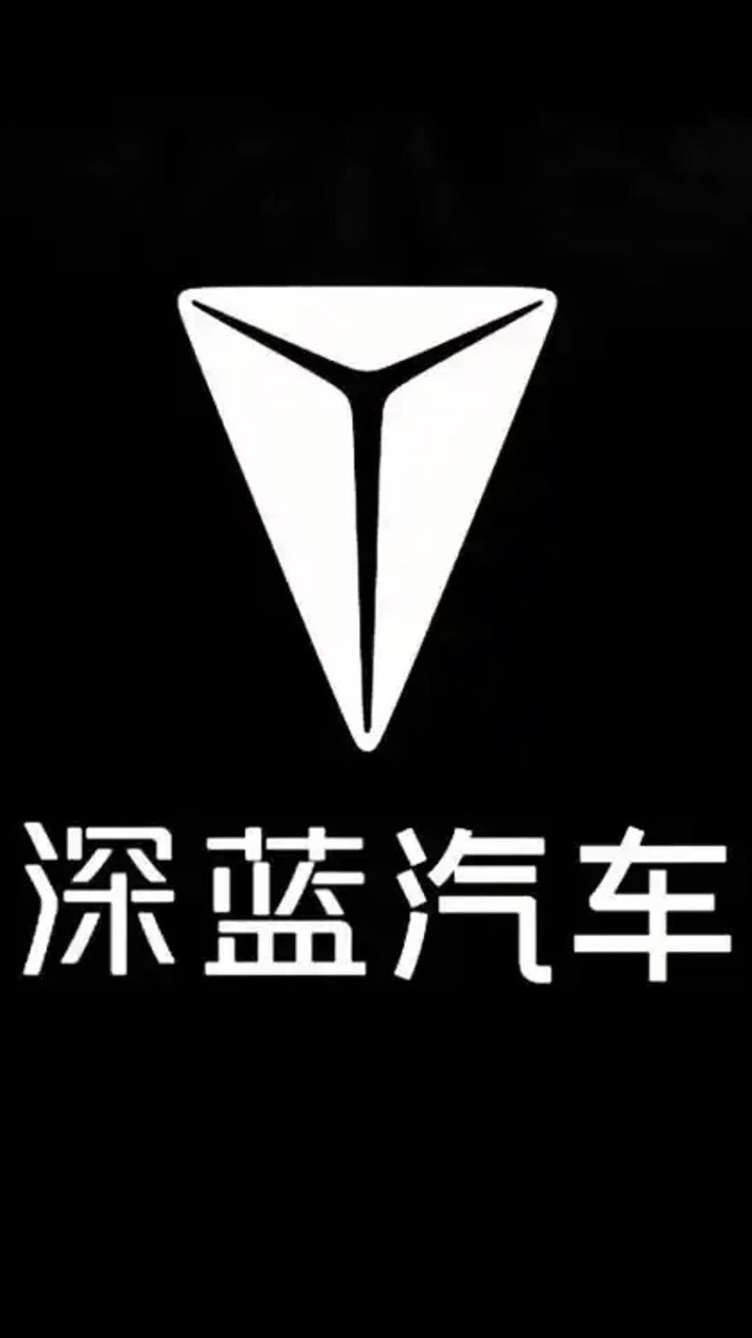 “背刺”老车主、新车S09抄袭理想L9？深蓝怎么了？