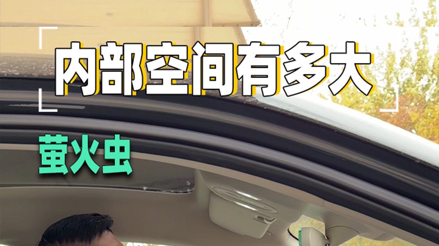 萤火虫到底小不小？胖哥用自身体型实测告诉你答案