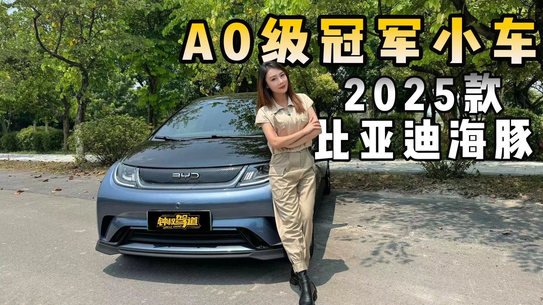 2025款海豚，竟然开出性能车的感觉？