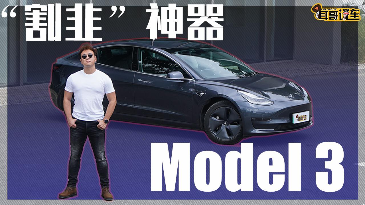 耳哥说车 “割韭”神器Model3 到底能不能买！