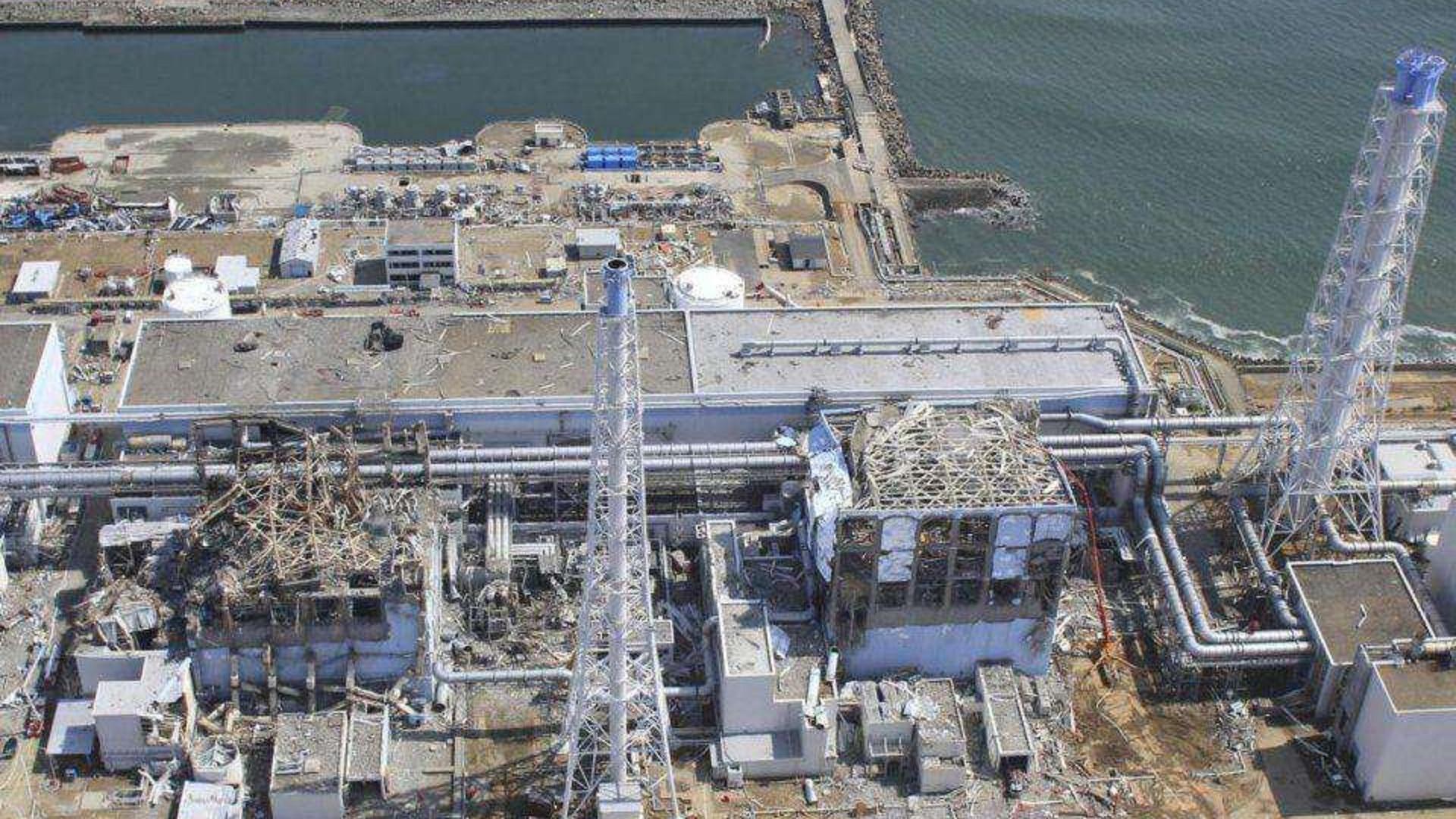 福岛核电站的设计存在缺陷，地震海啸来袭，直接引爆反应堆