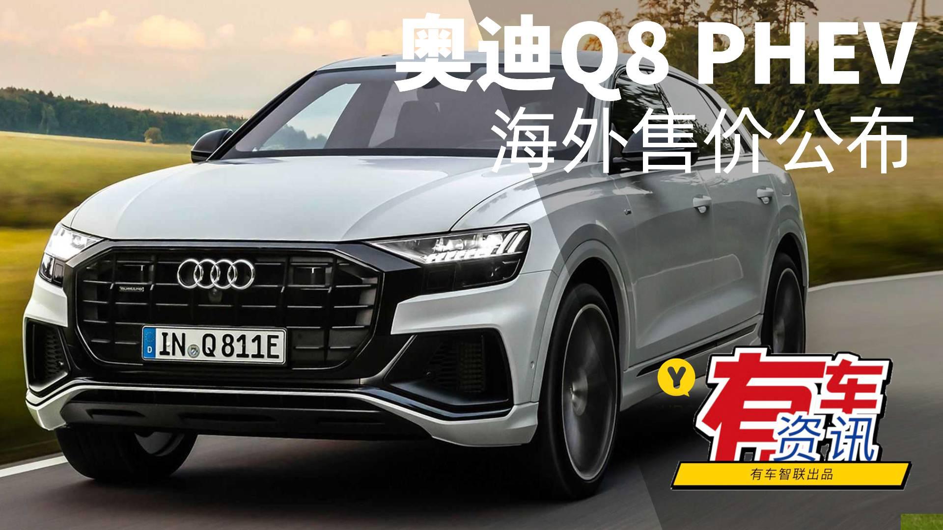 最大扭矩可达700牛·米 奥迪Q8 PHEV海外售价公布 或59万元起售