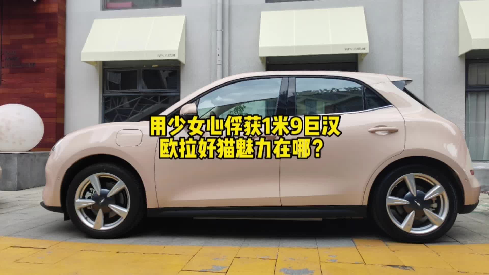 用少女心俘获1米9巨汉，欧拉好猫的魅力在哪