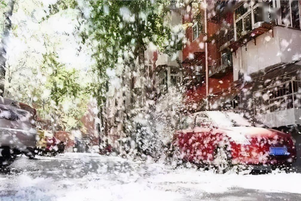 深受柳絮之苦的，举个手！