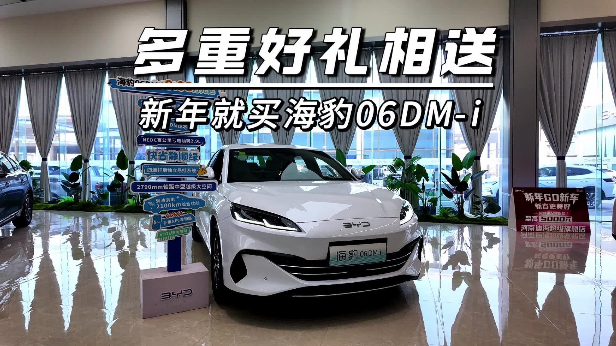 多重好礼相送，新年就买海豹06DM-i