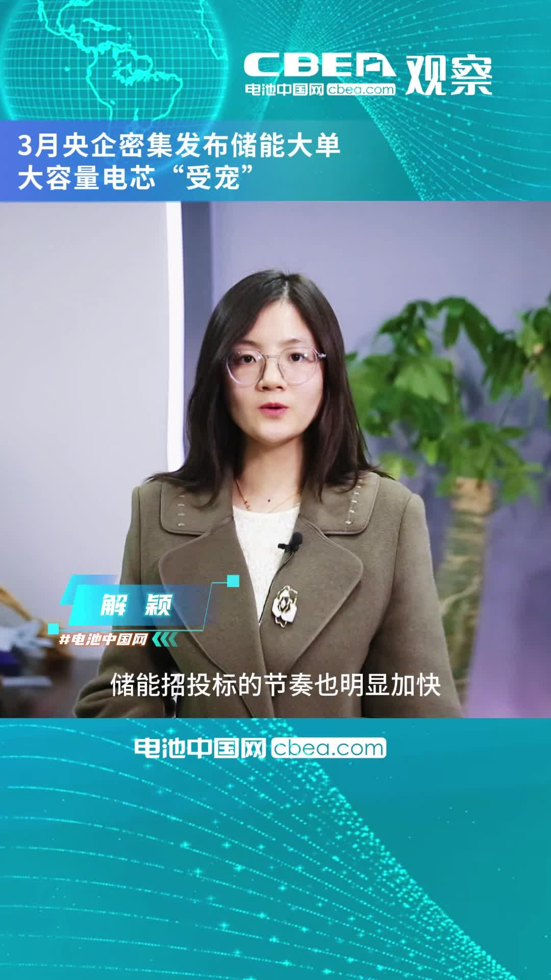 3月央企密集发布储能大单，大容量电芯“受宠” 储能 大电芯