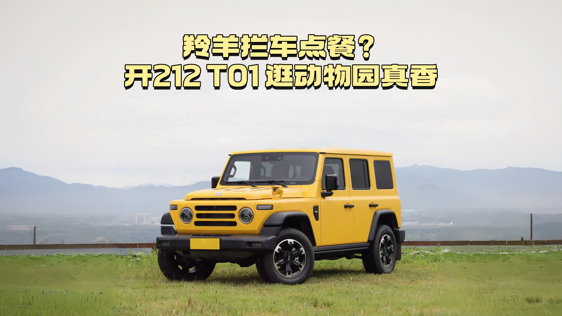 羚羊拦车点餐？！开小黄车逛动物园真香