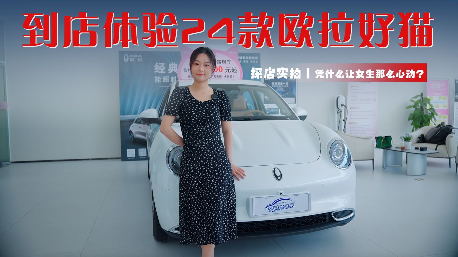 探店实拍丨到店体验24款欧拉好猫，凭什么让女生那么心动？