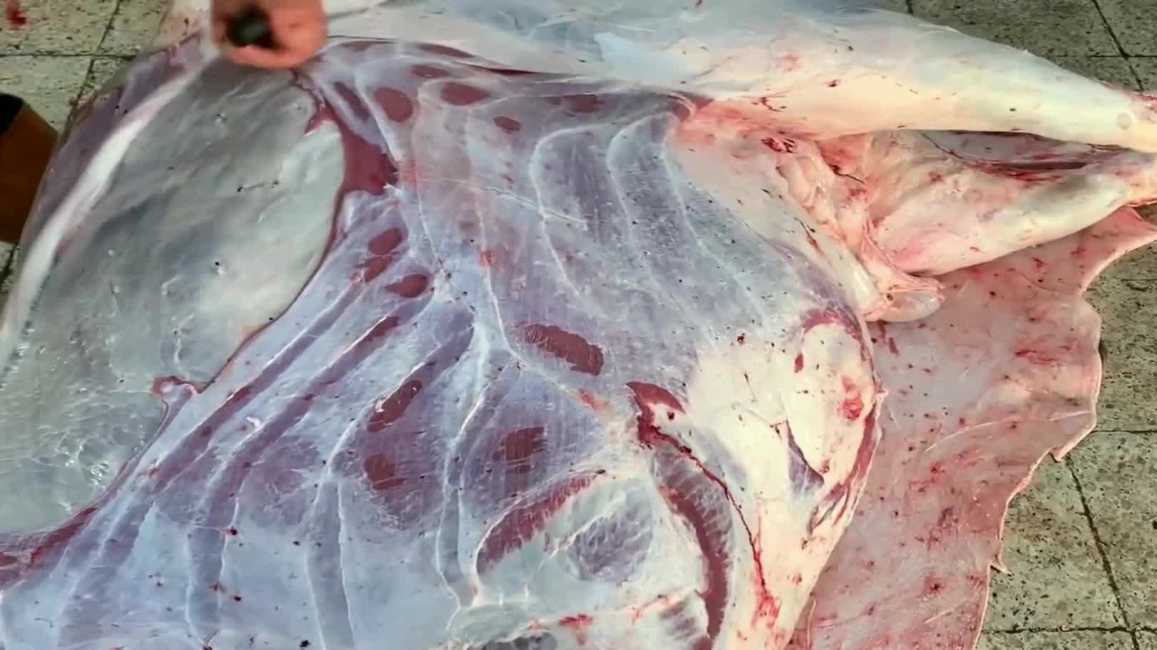 皮肉分离 新浪（移动端）