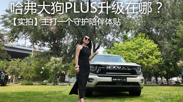 主打守护陪伴体贴 实拍哈弗大狗PLUS升级在哪？